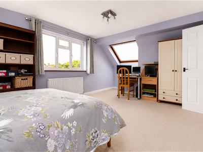 Picture 16
